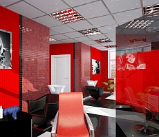 Разработка дизайна для офиса представительства компании Дешели: рабочая зона, фото 2
