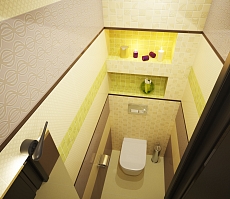 Дизайн проект дома на Владимира Невского: туалет, фото 3