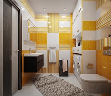 Дизайн проект для квартиры на Дурова: туалет, фото 1