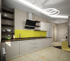 Разработка индивидуального дизайна для квартиры на Сакко и Ванцетти: кухня, фото 1