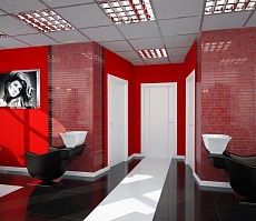 Разработка дизайна для офиса представительства компании Дешели: рабочая зона, фото 4