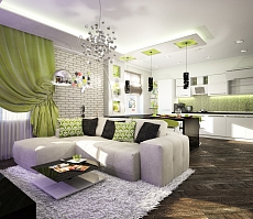 Дизайн проект для квартиры на Дурова: гостиная, фото 2