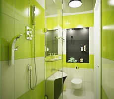 Дизайн интрьера коттеджа в Ямном: туалет, фото 2