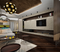 Разработка индивидуального дизайна для квартиры на Сакко и Ванцетти: гостиная, фото 3