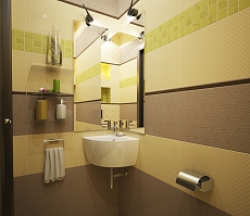 Дизайн проект дома на Владимира Невского: туалет, фото 2